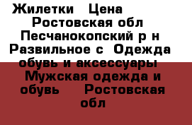 Жилетки › Цена ­ 4 500 - Ростовская обл., Песчанокопский р-н, Развильное с. Одежда, обувь и аксессуары » Мужская одежда и обувь   . Ростовская обл.